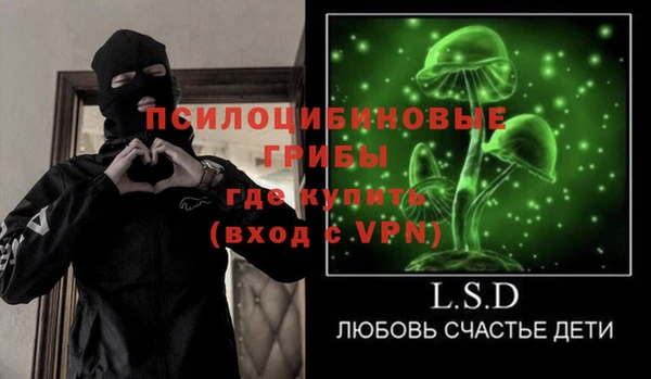 крисы Медвежьегорск